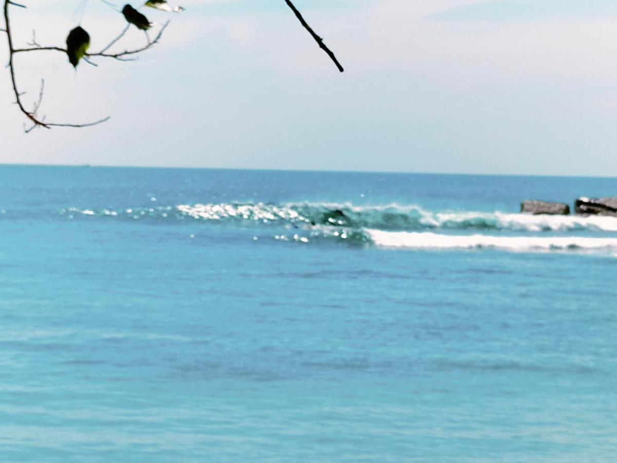 Secret Swell Hotel Tangalle Exterior foto
